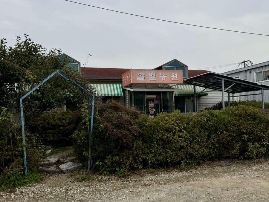 솔잎농원 사진 4