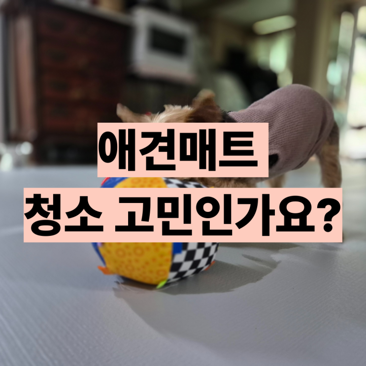  티지오매트 강아지 내돈내산 후기 우다다 롤매트 로봇청소기 어때?
