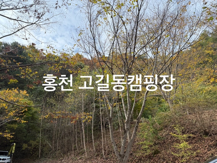 고길동캠핑장 사진 1