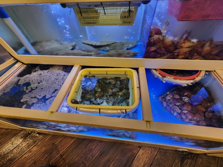 아싸라비야 게랑가리비랑 사진 4