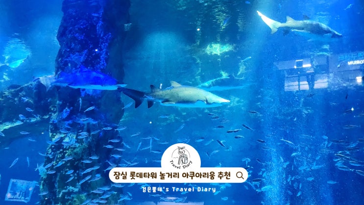  잠실 롯데월드몰 아쿠아리움 서울 롯데타워 실내 데이트 놀거리 가볼만한곳