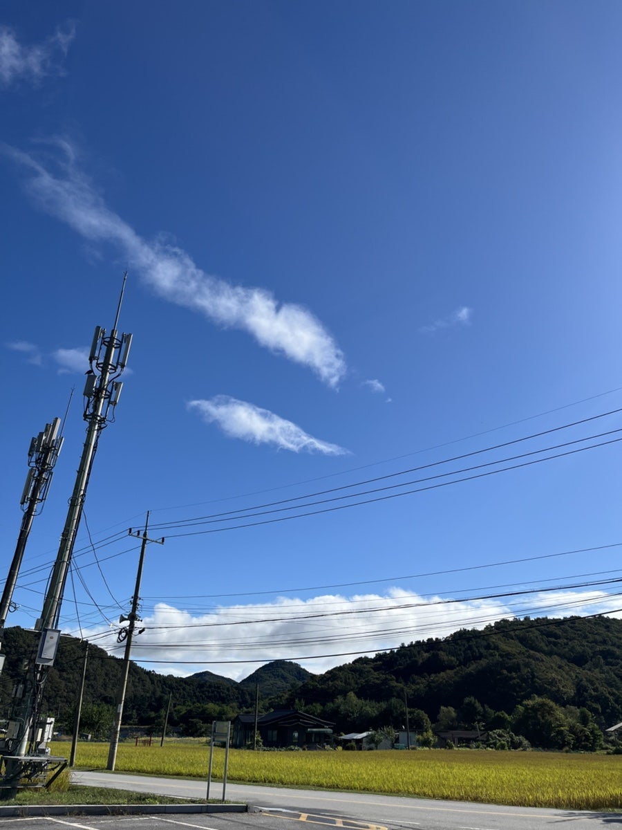 미사강변곤드레밥집 사진 2