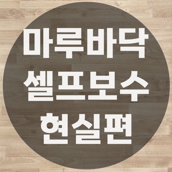  마루셀프보수 셀프로 가능할까? 전문가가 알려주는 현실적인 방법