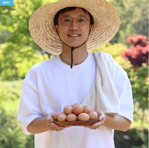  “전라남도 산지 직송 시골다리 난각번호1번 유정란 – 자연방사·동물복지·무항생제 방목달걀”