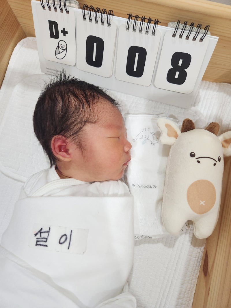 동탄 센트럴산후조리원 디럭스룸 13박14일 두번째 이용후기