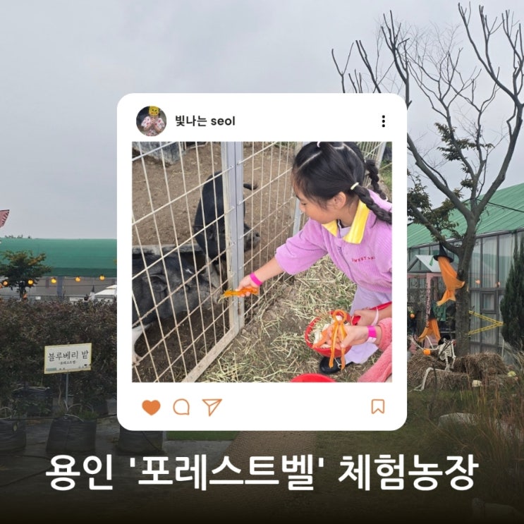  [용인 포레스트벨 체험농장] 동물먹이주기부터 고구마 캐기까지! 가족 나들이로 딱인 곳
