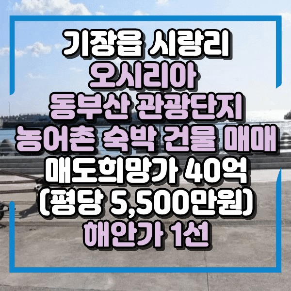  동부산 오시리아 관광단지, 해안가 농어촌민박 건물 매매, 카페운영과 농어촌 민박운영 동시에 가능, 기장읍 해안가 1선 숙박건물매매