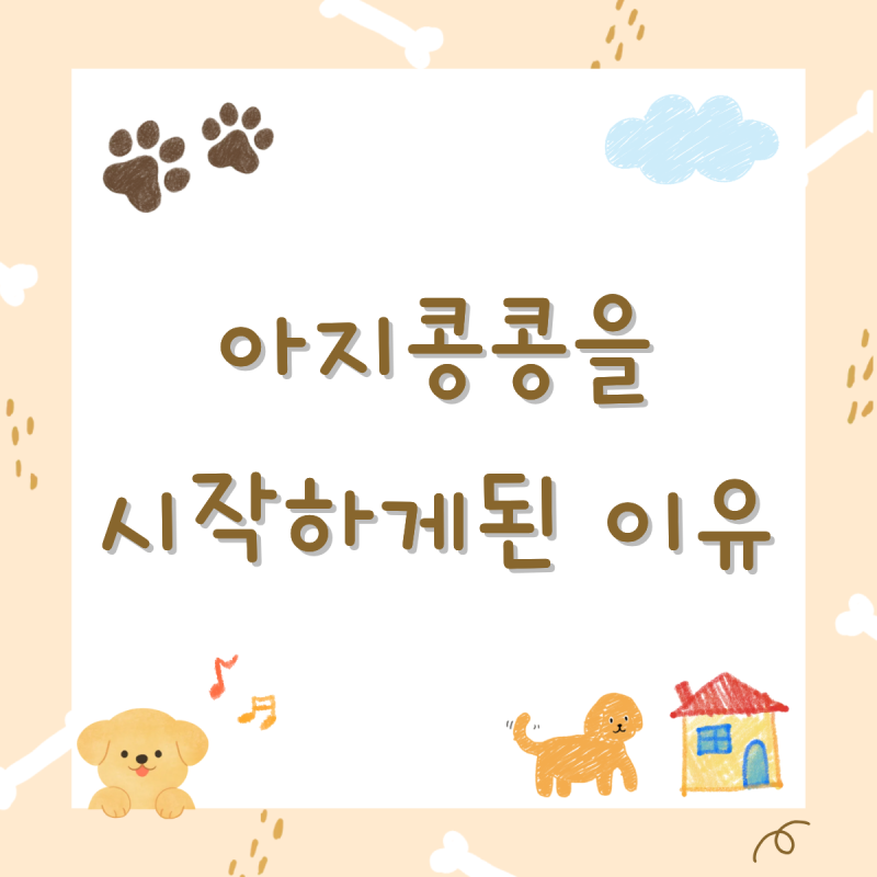 사진 7