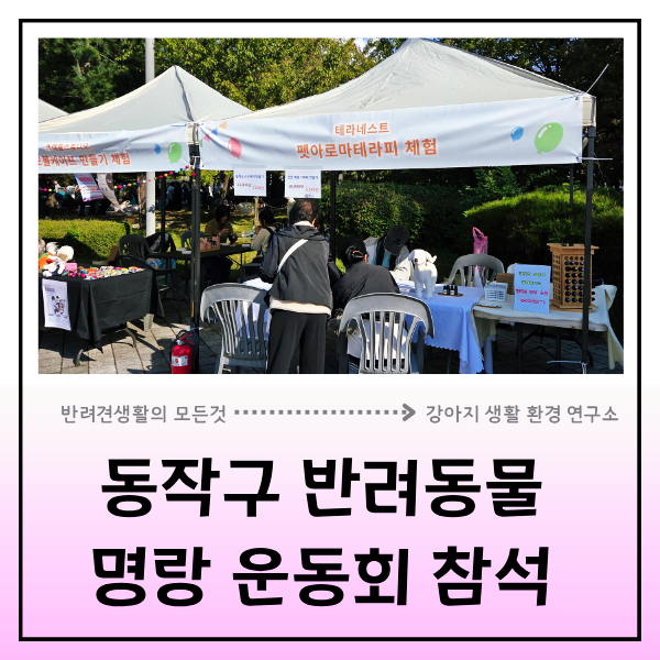  동작구 반려동물 명랑 운동회, 테라 네스트 강아지 생활 환경 연구소 펫 아로마 100% 리얼 후기
