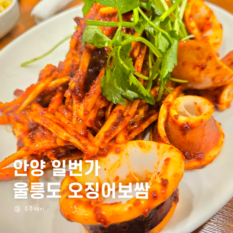  오징어보쌈 안양, 안양역 오징어보쌈 또간집 1위 동해