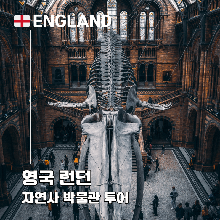  런던 자연사 박물관 투어 영국 여행 아이와 가볼만한 곳 할인코드 소요시간