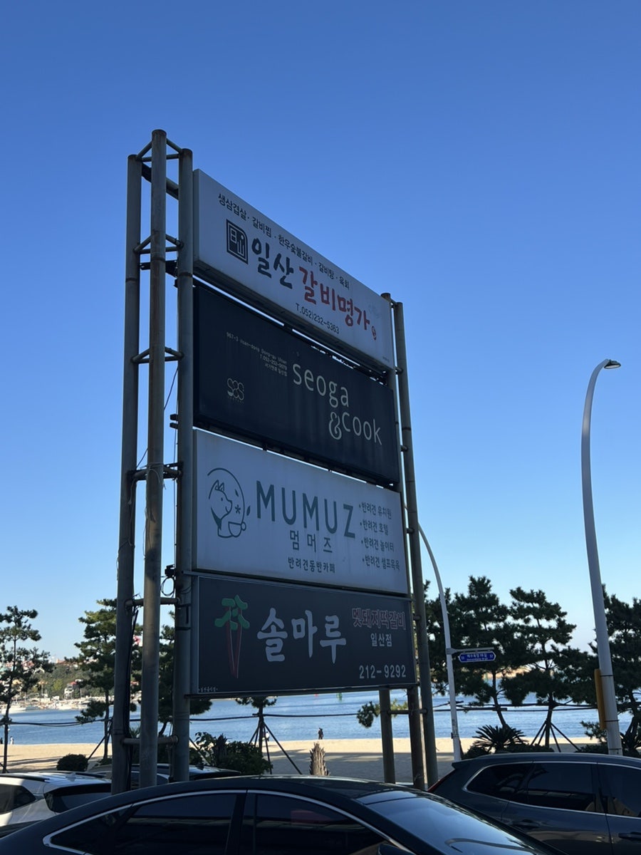 멈머즈 사진 2