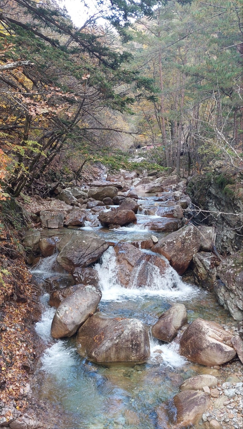 정책지식 2025.10.28. : 네이버 블로그