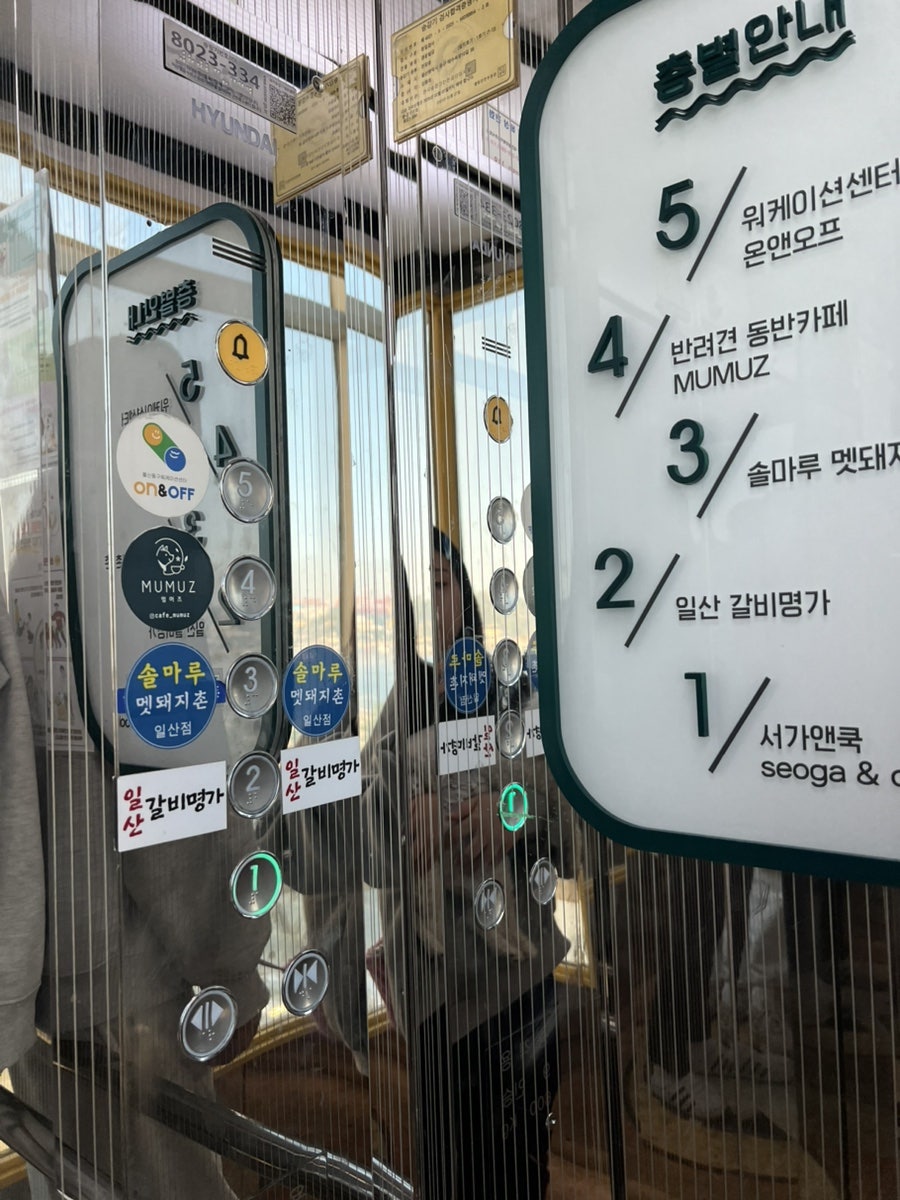 멈머즈 사진 4