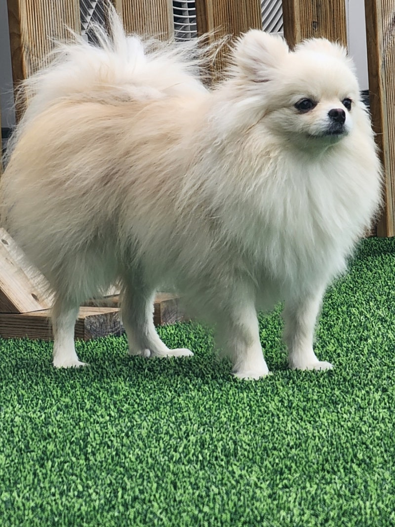사진 3
