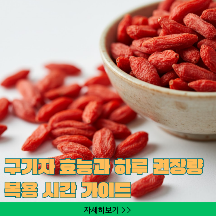  구기자 효능과 하루 권장량 - 복용 시간 가이드
