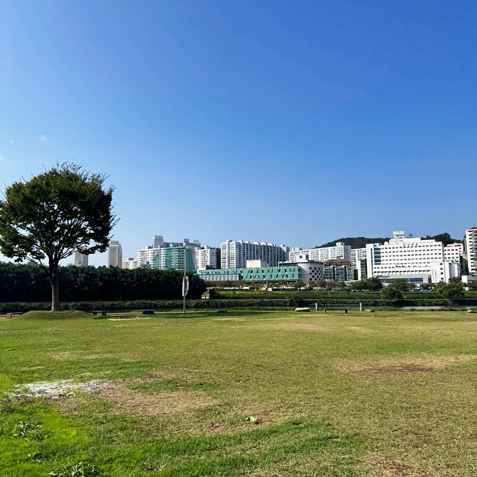 반올림피자 울산온양점 사진 5