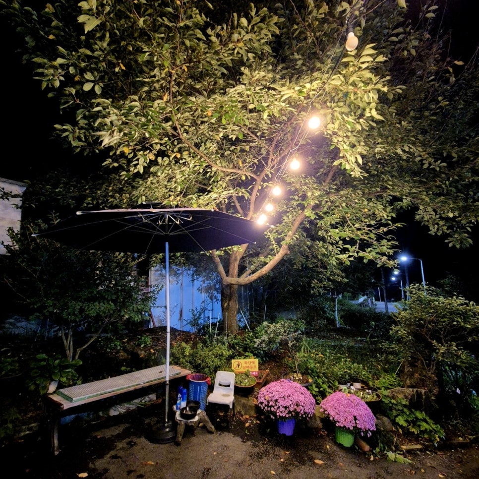 복시골집 사진 5