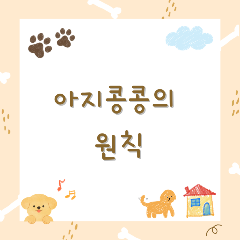사진 8