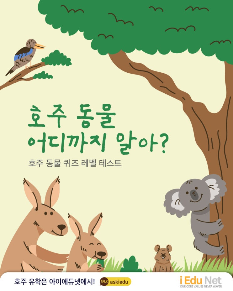  [호주 정보] 호주 동물 어디까지 알아? 호주 동물 퀴즈 레벨 테스트| 영어와 한국어 이름 맞추기 | 호주 희귀 동물 알아보기