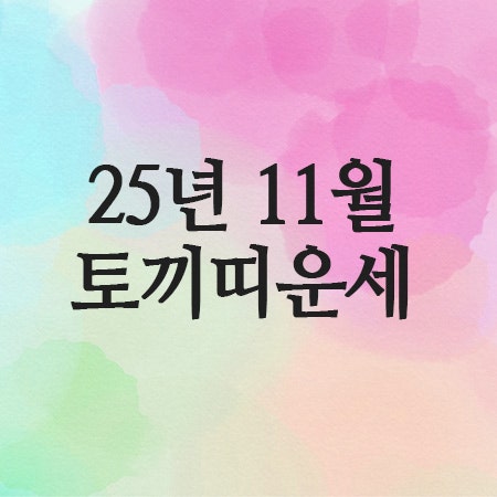  2025년 11월 토끼띠 운세 (63년 · 75년 · 87년 · 99년생)