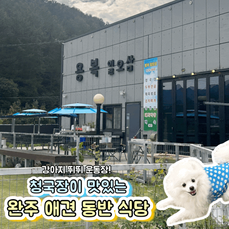  전북 완주 강아지 운동장이 있는 애견 동반 식당 용복일오삼