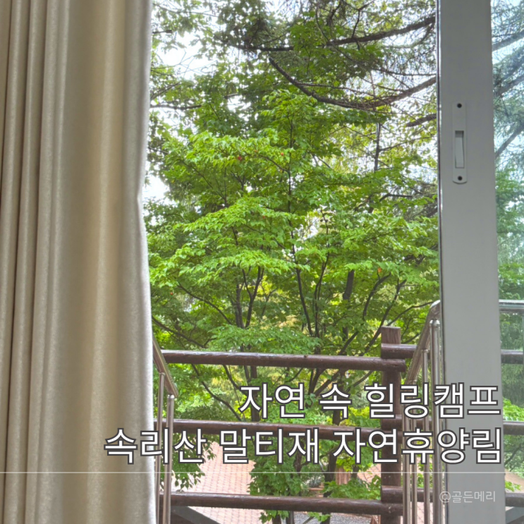  속리산 말티재 자연휴양림 후기 설앵초 예약 꿀팁부터 바비큐 준비물까지