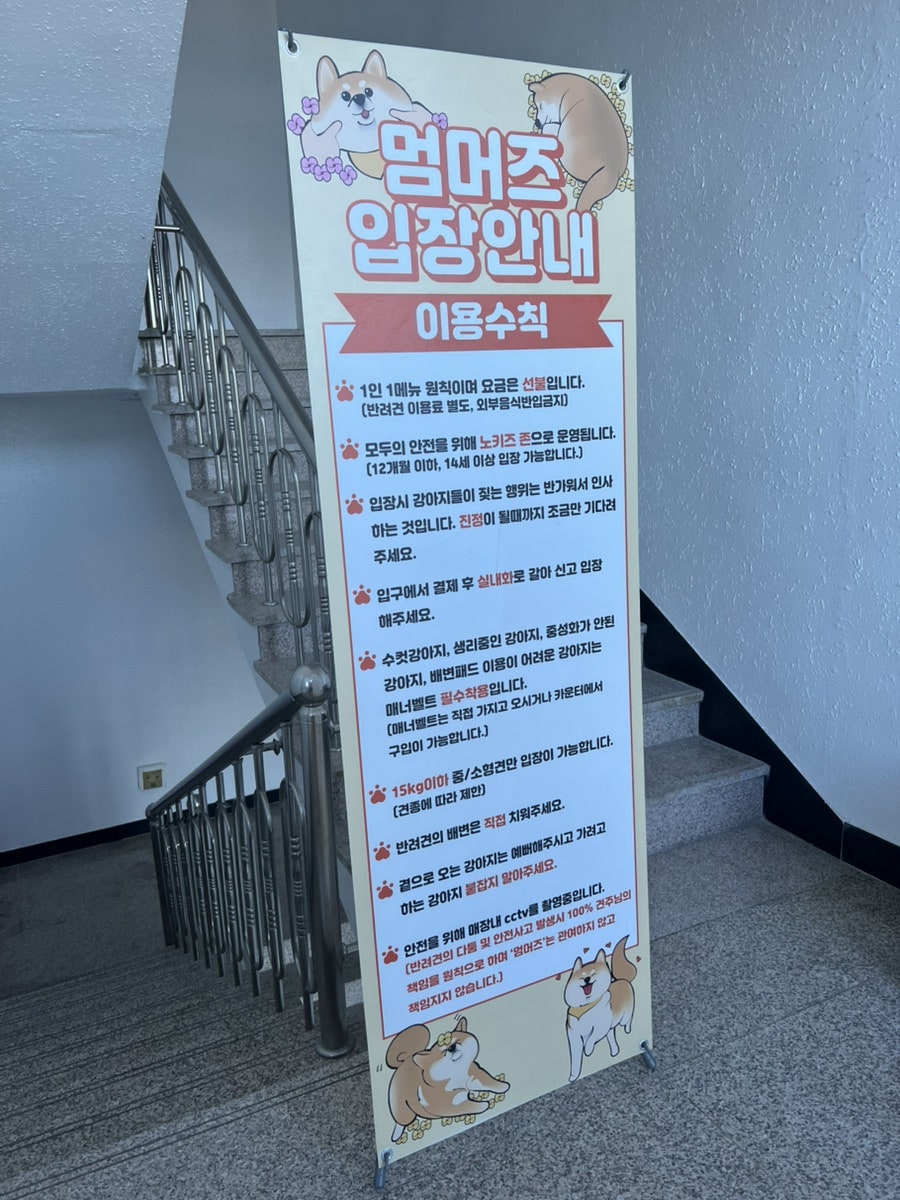 멈머즈 사진 5
