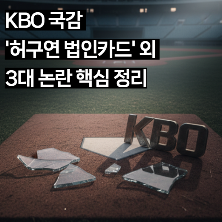  [단독 분석] KBO 국감 '허구연 법인카드' 외 3대 논란 핵심 정리 (팬들이 꼭 알아야 할 팩트체크)