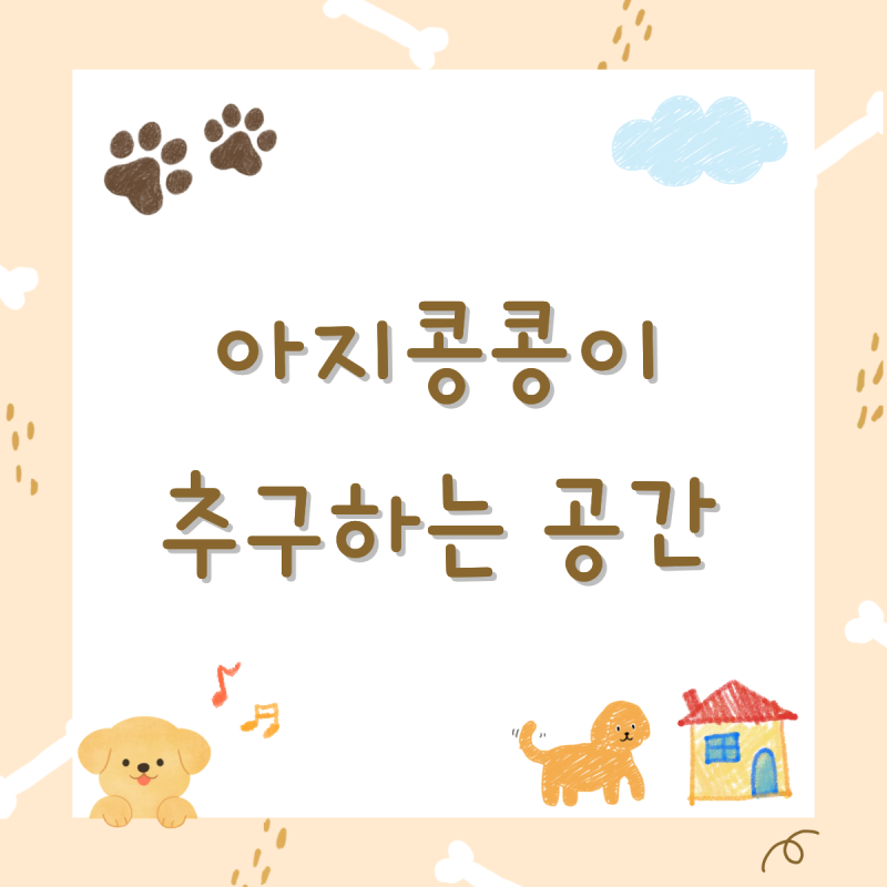 사진 9