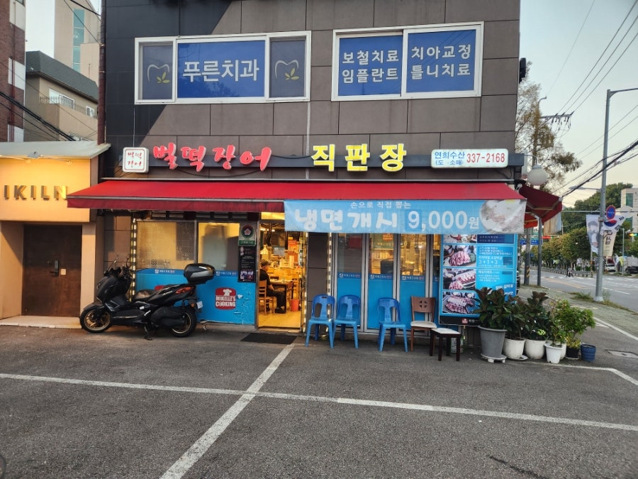 벌떡장어 사진