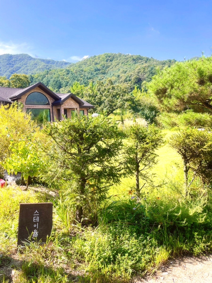 스테이율 사진 2