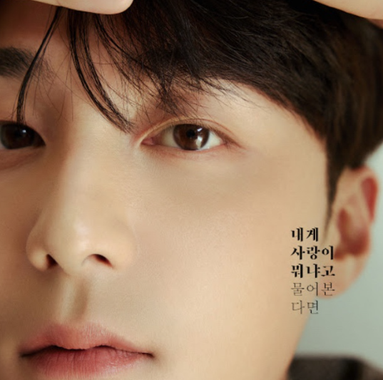 요즘 매일 듣는 노래, 내가 사랑이 뭐냐고 물어본다면(로이킴)