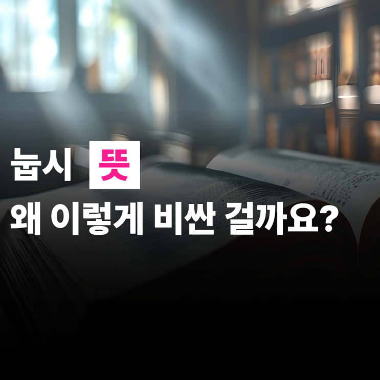  눕시 뜻 노스페이스 왜이리 비싼걸까요? 이유가 있죠
