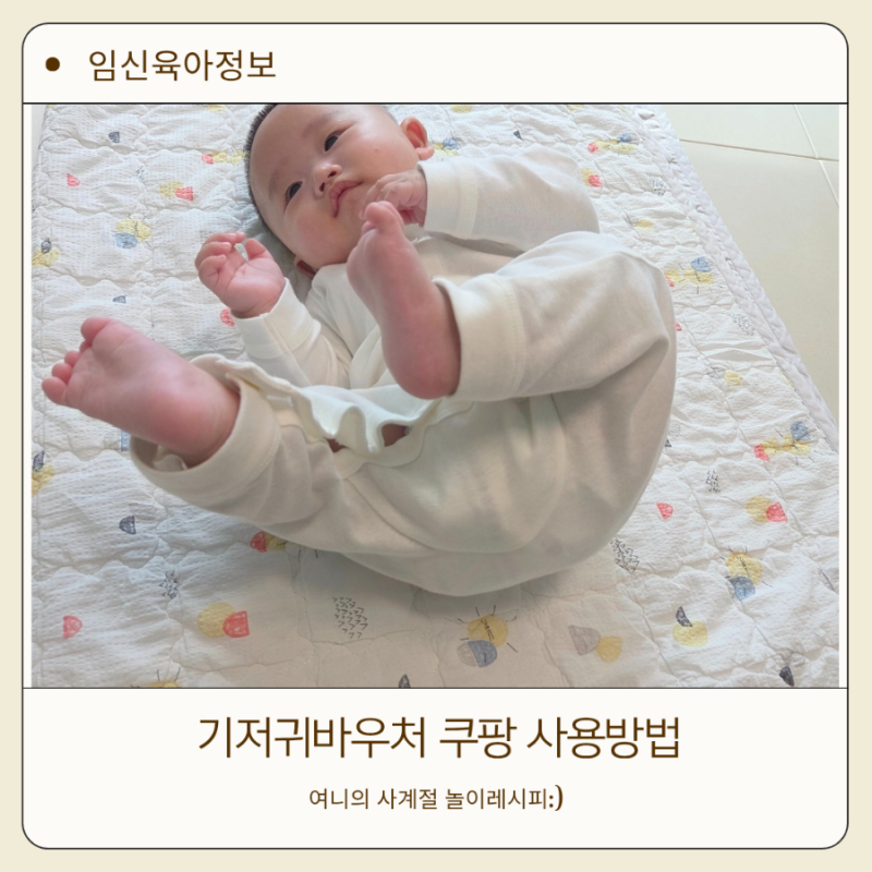 기저귀바우처 쿠팡 사용방법 물티슈 생리대 가능여부