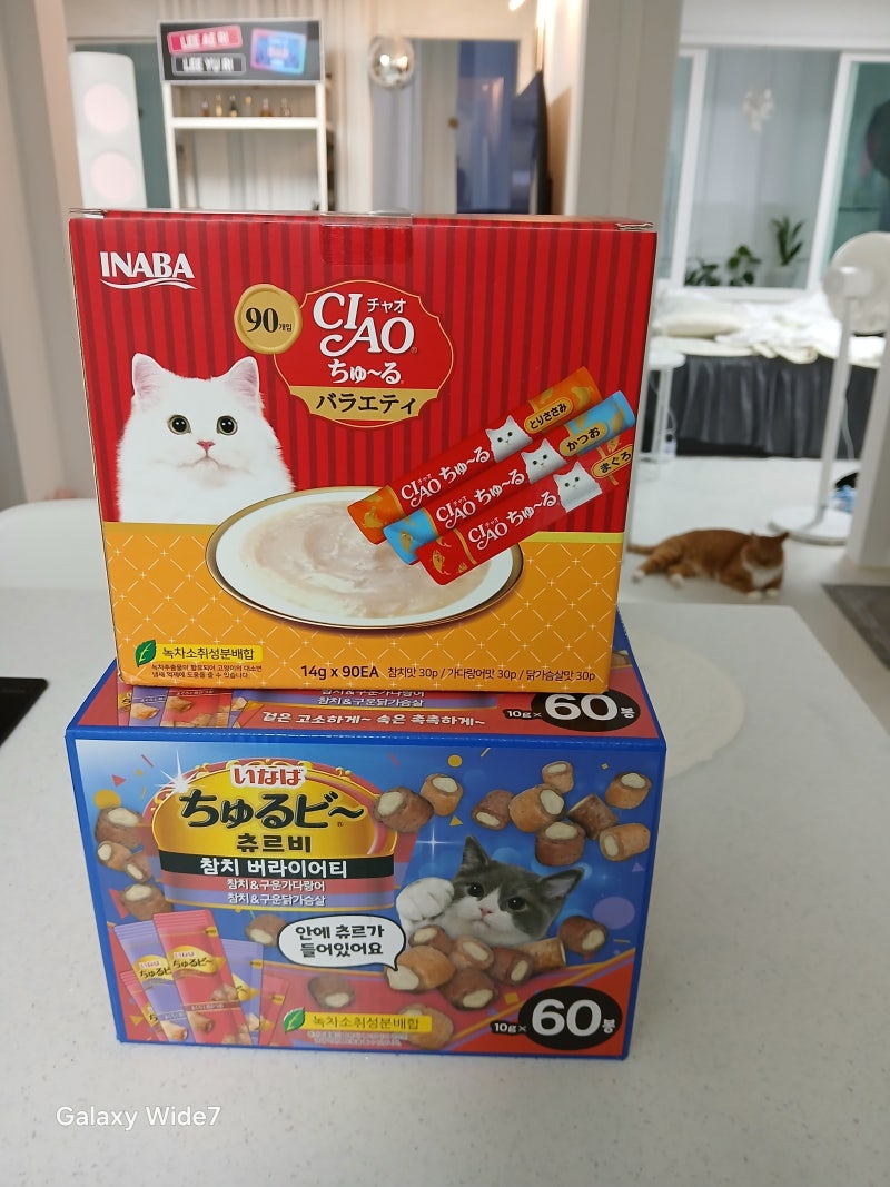 고양이 최애 간식 츄르와 츄르비