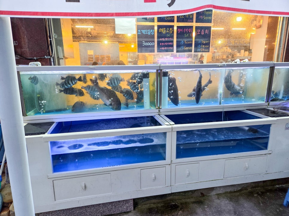 서해수산활어직판장 쌍촌직영점 사진 4
