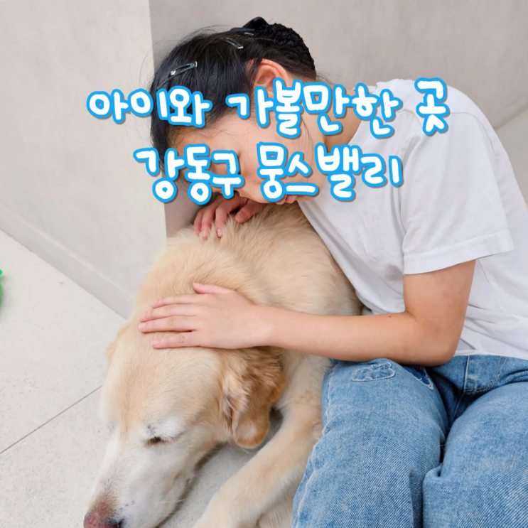 서울 강동구 아이와 가볼만한곳 리트리버 동물체험 뭉스밸리