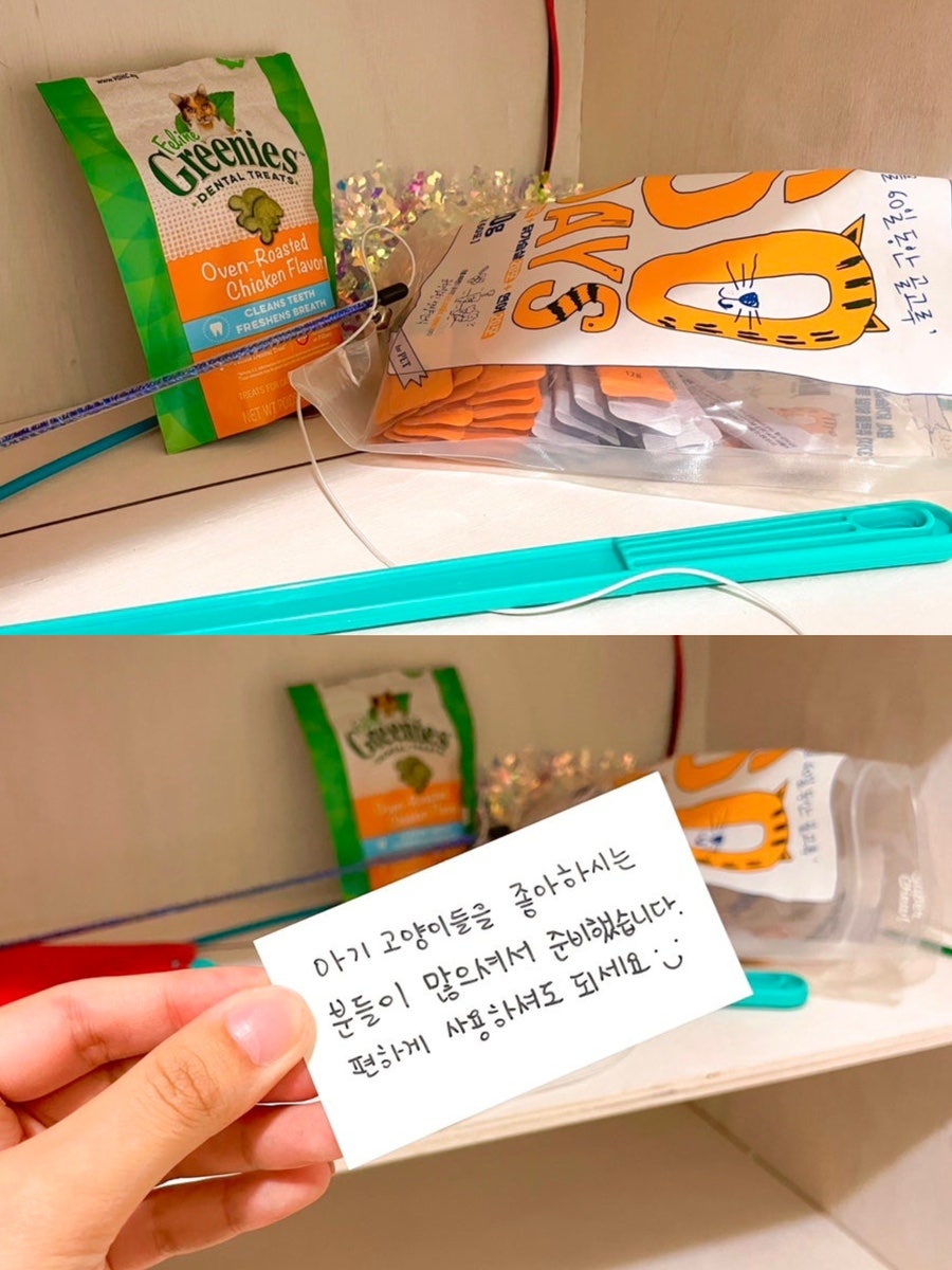 스테이율 사진 6