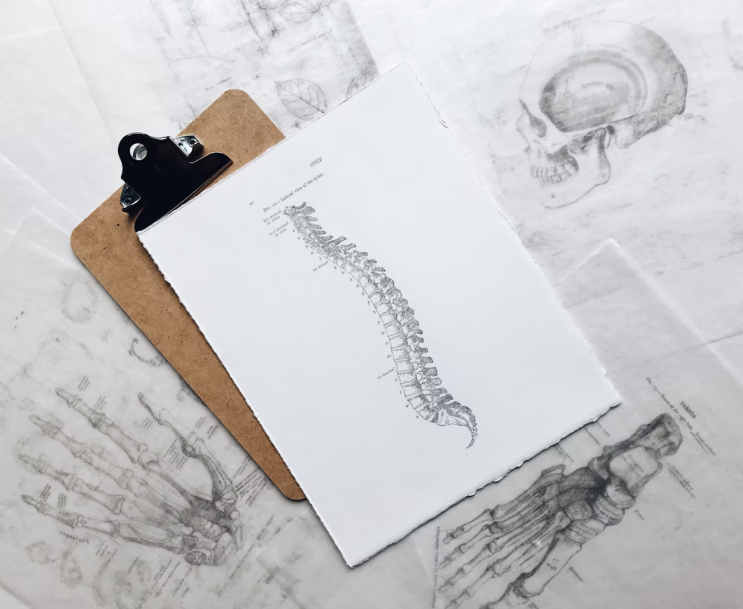  Spondylosis 척추증 원인 증상 치료 방법 협착증과 차이