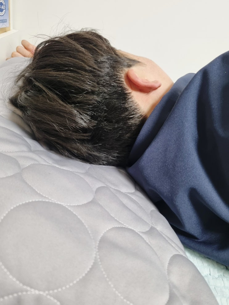  프리미엄 경추베개 추천 다니엘레스트, 숙면을 바꾼 진짜 경험