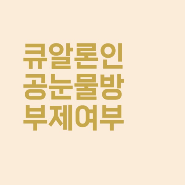  큐알론 인공눈물에는 방부제가 들어있나요?