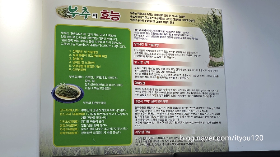 맛집부추잡채 사진 1