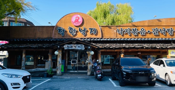  평일 1시에도 만석! 대전홍도동맛집/대전복합터미널맛집 ‘착한낙지’_육전에 싸 먹는 낙지볶음
