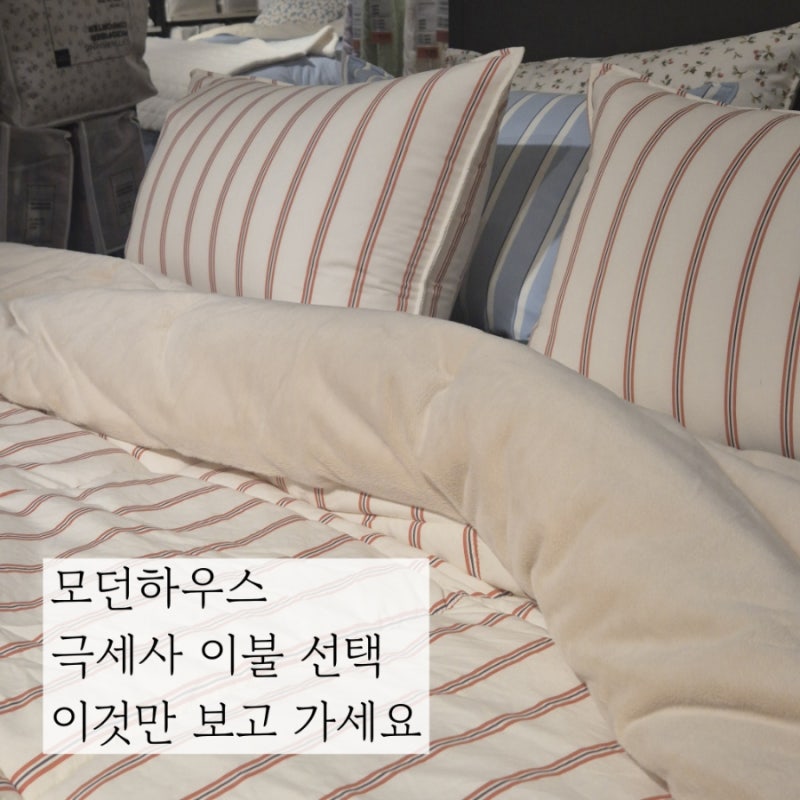 모던하우스 극세사 이불과 패드 알러지케어 이불