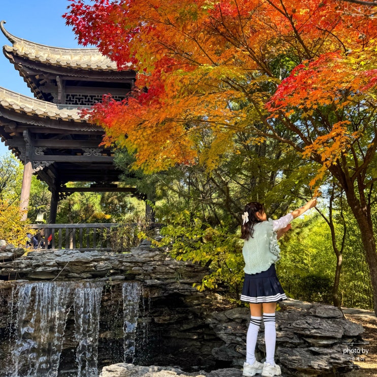  경기도 수원 단풍 명소 월화원 효원공원 주차장 단풍절정시기
