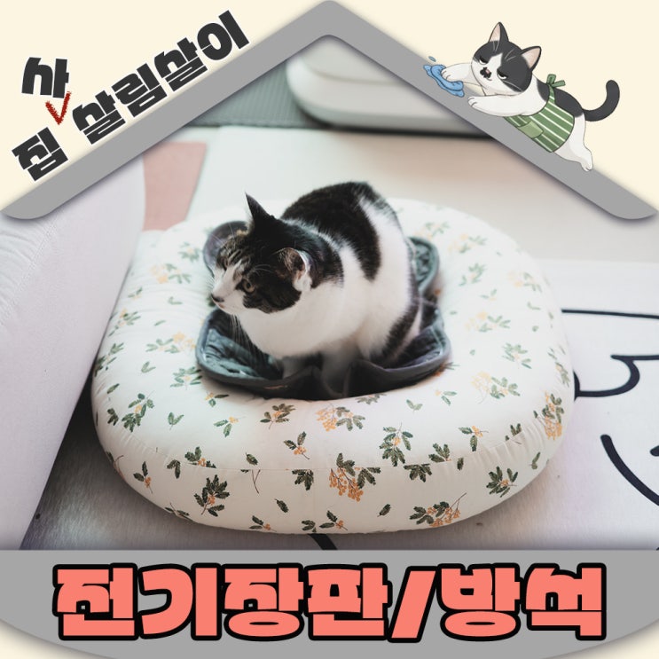  고양이집 전기매트 저온화상의 위험으로부터 안전하게 사용하는 방법