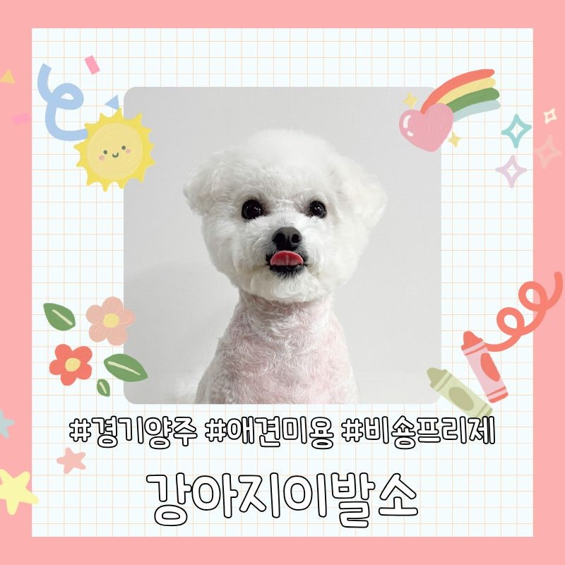 사진 2