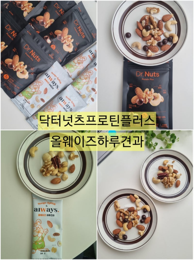닥터넛츠 프로틴플러스 VS 올웨이즈 하루견과 다이어트 간식 비교 추천