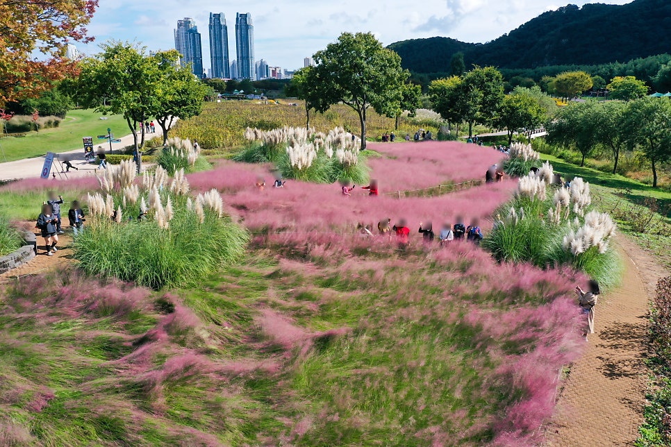 반올림피자 울산온양점 사진 4